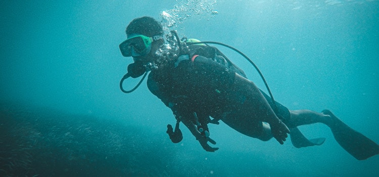 Plongée sous-marine à Argelès-sur-Mer