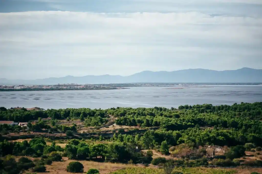 Canet en Roussillon