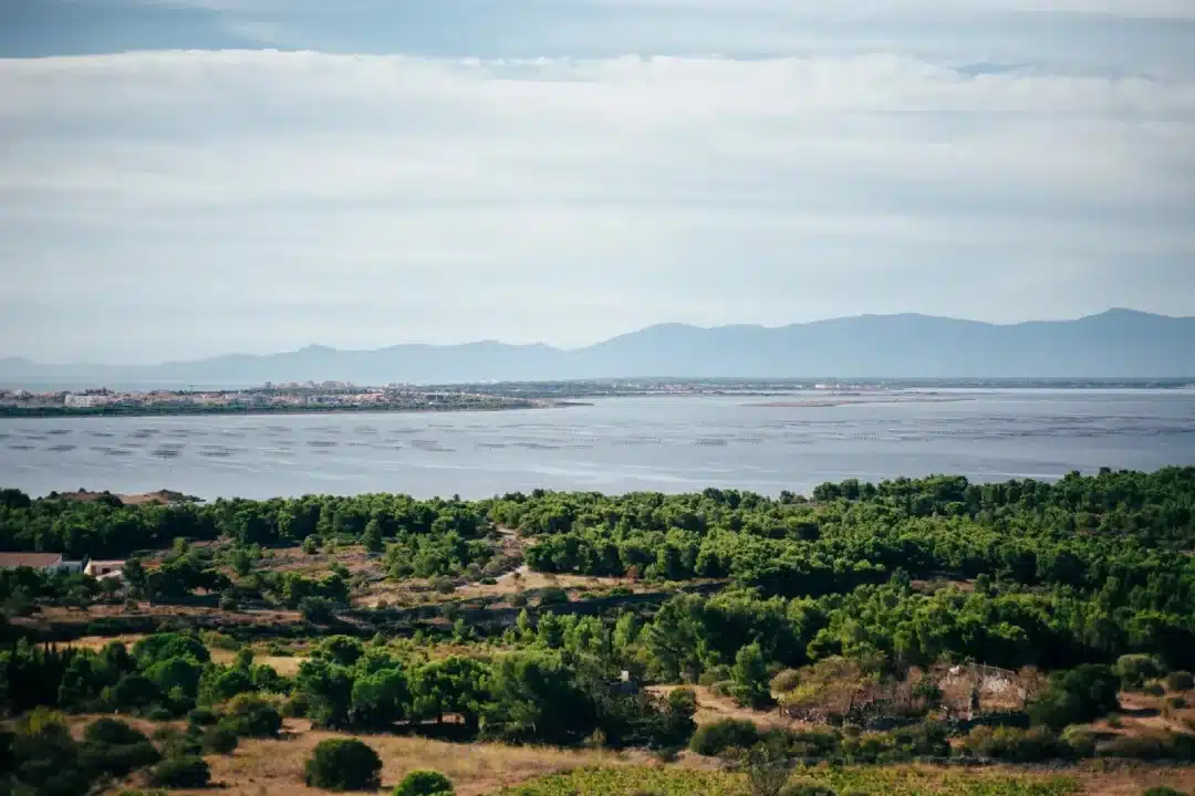 Canet en Roussillon